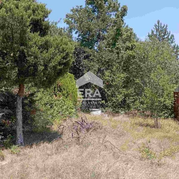 Продава ПАРЦЕЛ, гр. Костинброд, област София област, снимка 4 - Парцели - 53902924