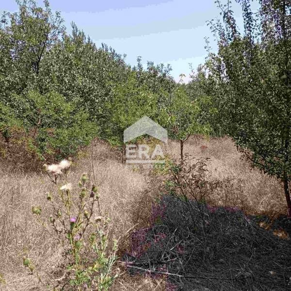 Продава ПАРЦЕЛ, гр. Костинброд, област София област, снимка 14 - Парцели - 53902924