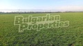 Продава ПАРЦЕЛ, с. Скутаре, област Пловдив, снимка 3