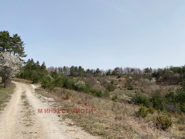 ������� ������ | Imot.bg � ����������� 1