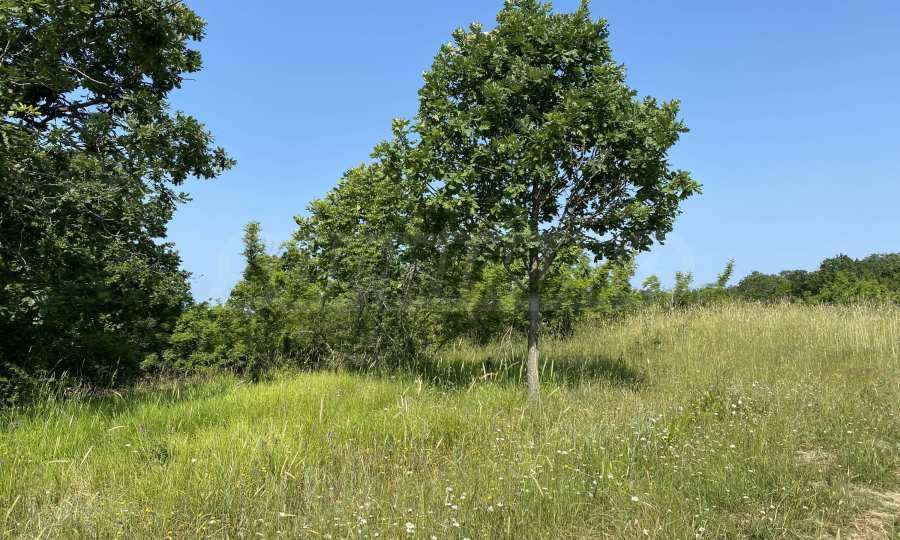 Продава ПАРЦЕЛ | Imot.bg — изображение 6