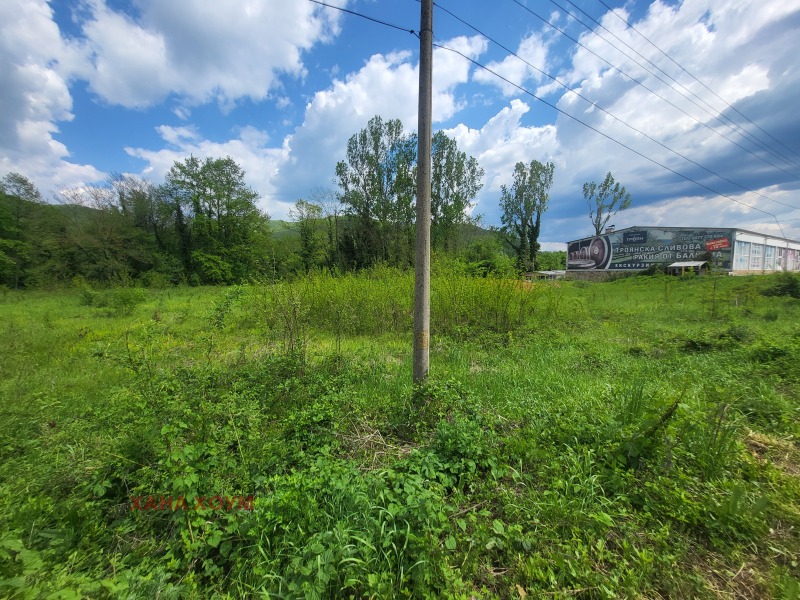 À vendre  Parcelle région Lovetch , Kaleitsa , 903 m² | 84407347 - image [6]