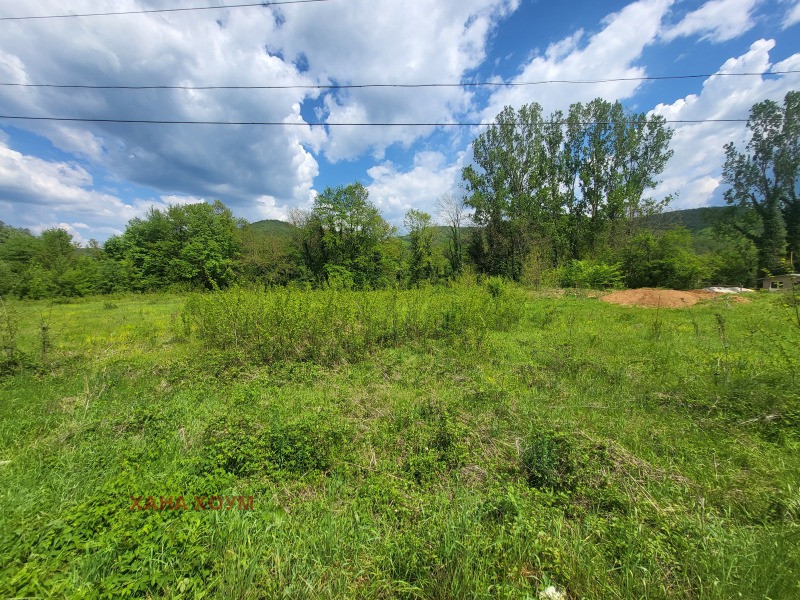À vendre  Parcelle région Lovetch , Kaleitsa , 903 m² | 84407347 - image [4]
