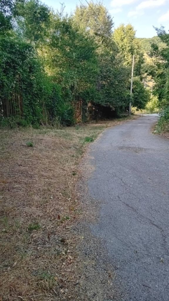 In vendita  Complotto regione Pernik , Bosnek , 5850 mq | 73458828 - Immagine [4]