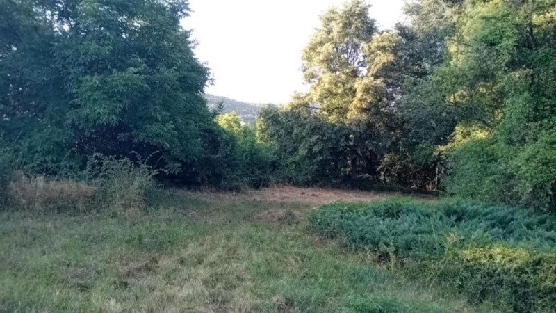 Продава  Парцел, област Перник, с. Боснек •  599 000 € • ID 53401065 — holmes.bg - [1] 
