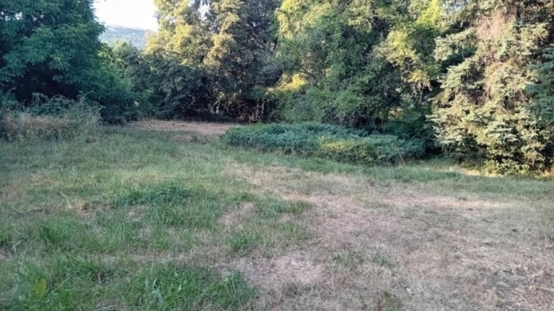 In vendita  Complotto regione Pernik , Bosnek , 5850 mq | 73458828 - Immagine [3]