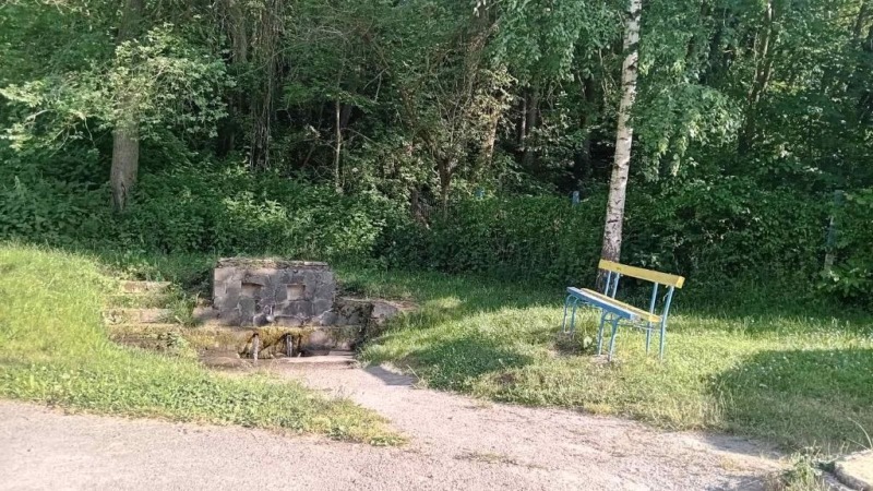 Продаја  Плот регион Перник , Боснек , 5850 м2 | 73458828 - слика [4]