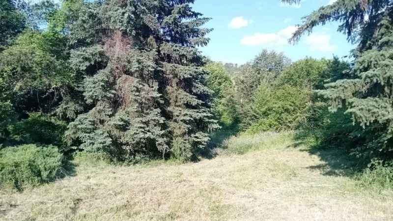 Продаја  Плот регион Перник , Боснек , 5850 м2 | 73458828 - слика [3]