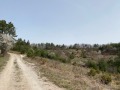Продава ПАРЦЕЛ, с. Мостово, област Пловдив, снимка 1