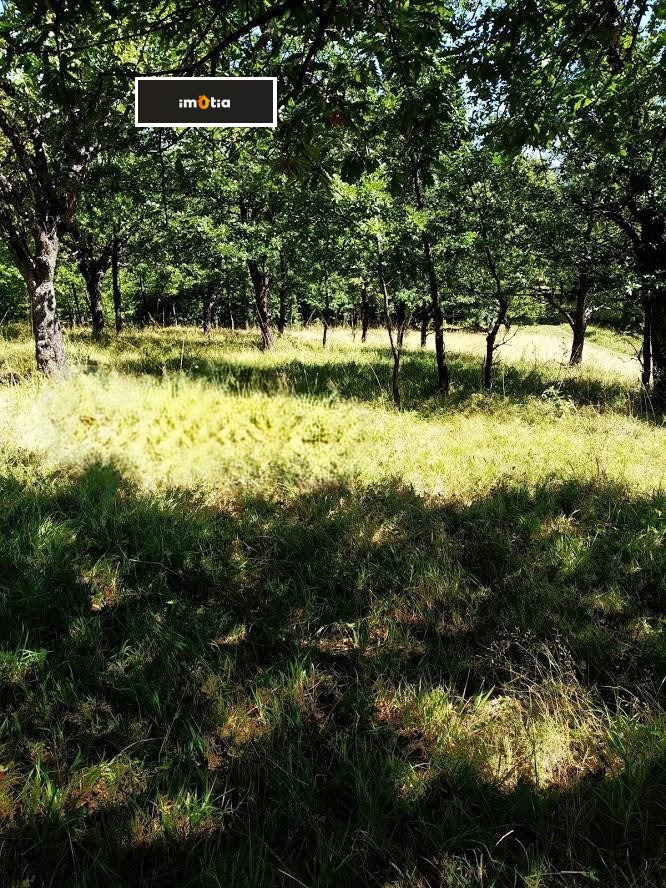 ������� ������ | Imot.bg � ����������� 6