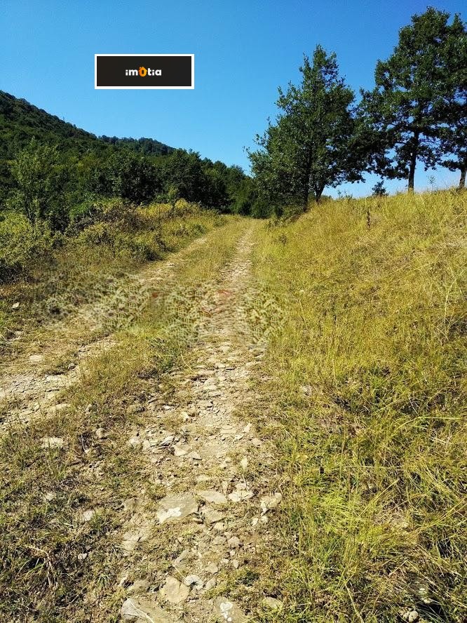 ������� ������ | Imot.bg � ����������� 7