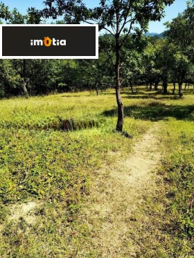 ������� ������ | Imot.bg � ����� ������ 8