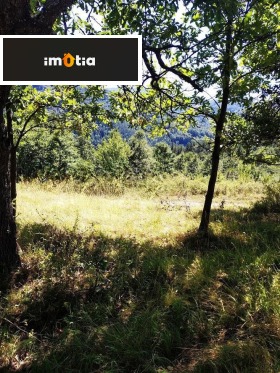 ������� ������ | Imot.bg � ����� ������ 5