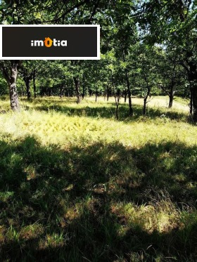 ������� ������ | Imot.bg � ����� ������ 6