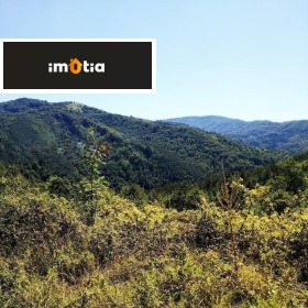 ������ ������� ������