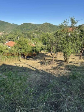 ������� ������ | Imot.bg � ����� ������ 7