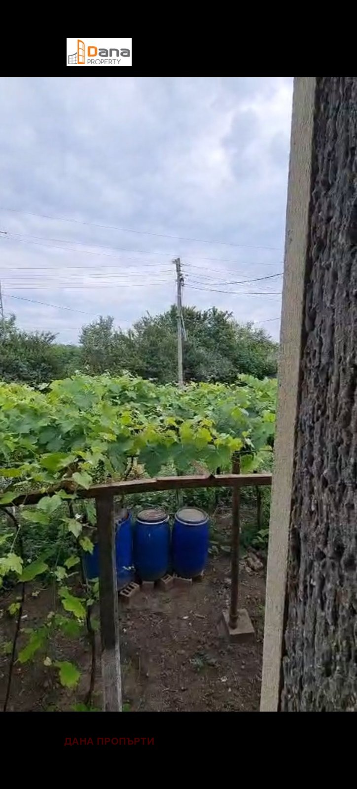 Προς πώληση  σπίτι περιοχή Dobrich , Δροπλα , 105 τ.μ | 31902490 - εικόνα [9]