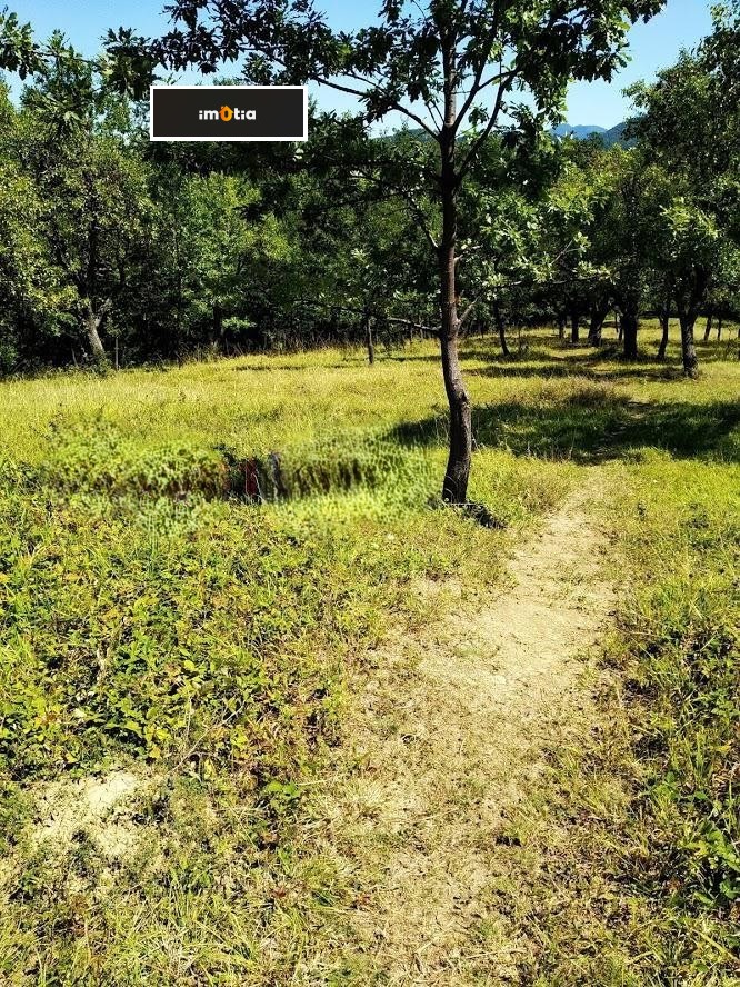 Продава ПАРЦЕЛ, с. Орешак, област Ловеч, снимка 7 - Парцели - 53093622