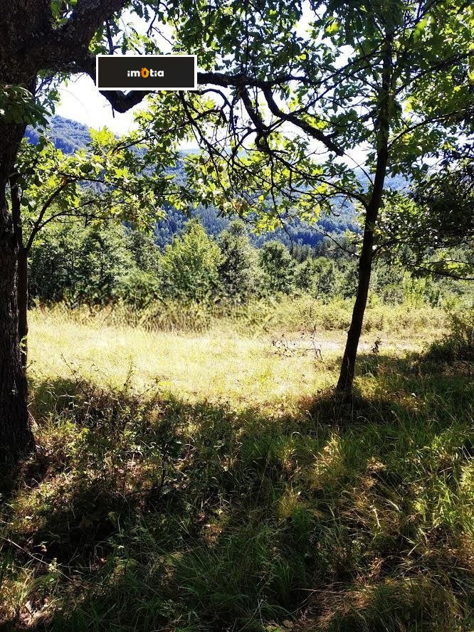 Продава ПАРЦЕЛ, с. Орешак, област Ловеч, снимка 4 - Парцели - 53093622