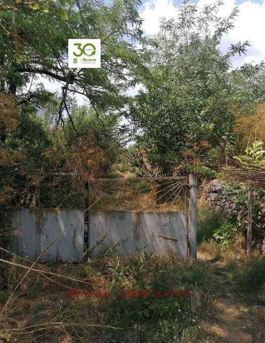 Продава ПАРЦЕЛ, с. Крушари, област Добрич, снимка 3 - Парцели - 53997508