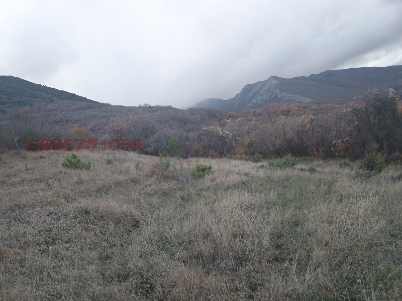 Продава ЗЕМЕДЕЛСКА ЗЕМЯ, с. Делчево, област Благоевград, снимка 2 - Земеделска земя - 53092758