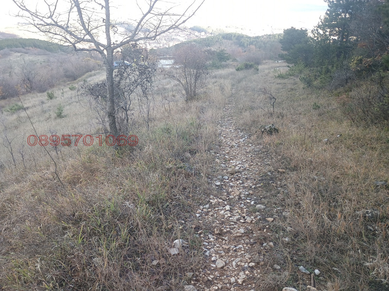 Продава ЗЕМЕДЕЛСКА ЗЕМЯ, с. Делчево, област Благоевград, снимка 2 - Земеделска земя - 52815100