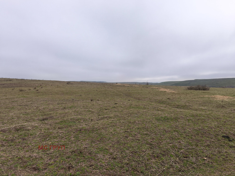 Продава ЗЕМЕДЕЛСКА ЗЕМЯ, с. Лешница, област Благоевград, снимка 2 - Земеделска земя - 53222827