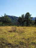 Продава ПАРЦЕЛ, с. Орешак, област Ловеч, снимка 2