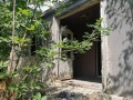 Продава ПАРЦЕЛ, с. Крушари, област Добрич, снимка 2