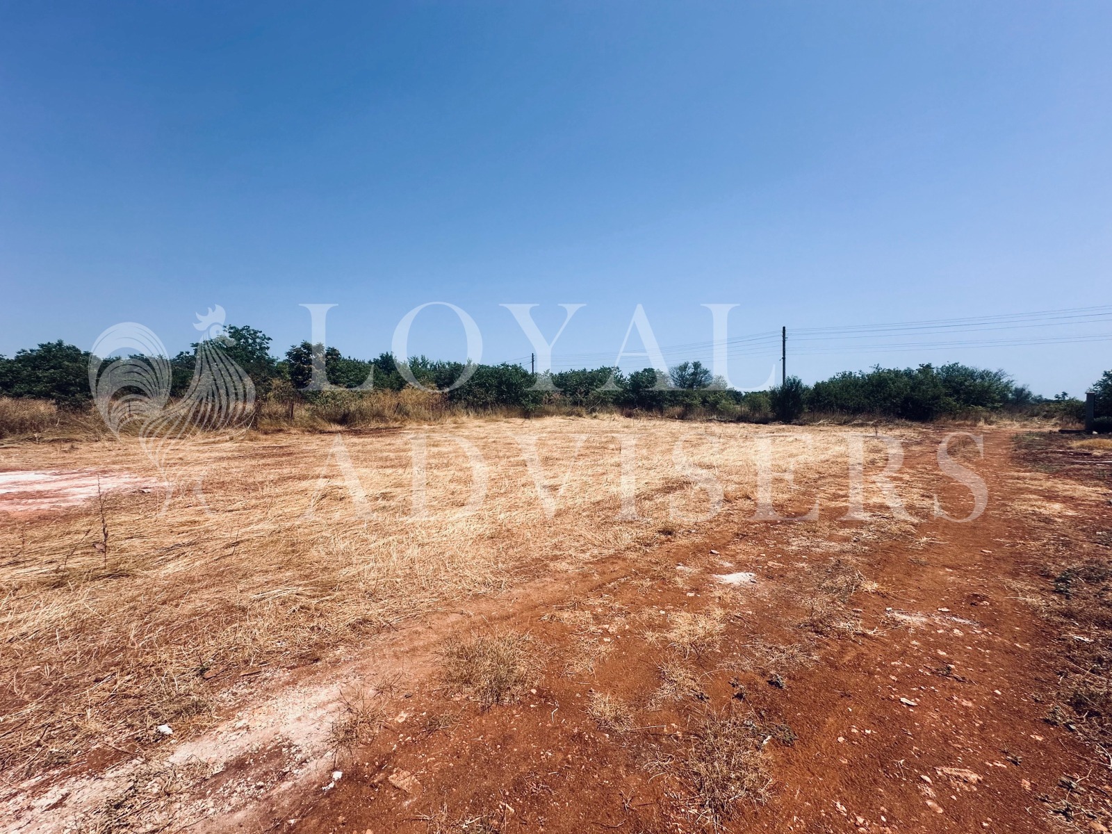 Продава ПАРЦЕЛ | Imot.bg — изображение 1