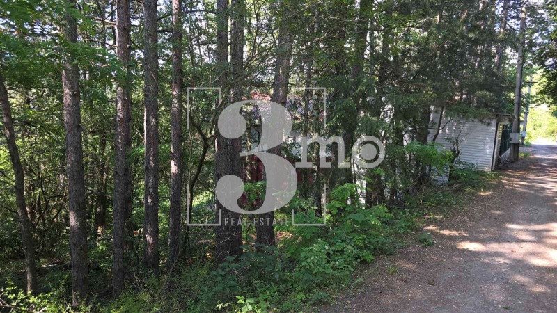 Na prodej  Spiknutí Sofia , Pančarevo , 585 m2 | 11606648