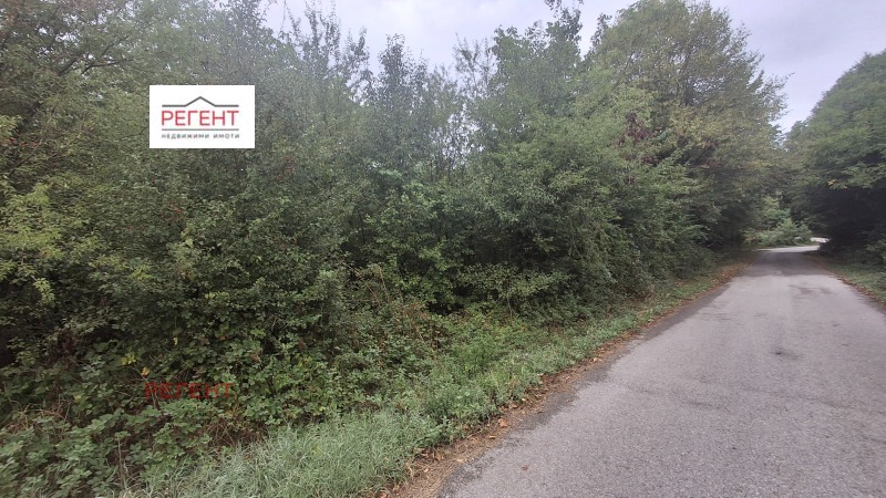 De vânzare  Complot regiunea Gabrovo , Iasenite , 600 mp | 86246624 - imagine [2]