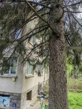 Продава ЕТАЖ ОТ КЪЩА, град София, Бояна • 270000 € • 66851688 — Holmes.bg
