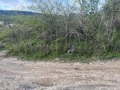 Продава ПАРЦЕЛ, град Шумен, м-т Под Манастира • 50000 лв. • 60926144 — Holmes.bg