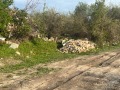 Продава ПАРЦЕЛ, град Шумен, м-т Под Манастира • 50000 лв. • 60926144 — Holmes.bg