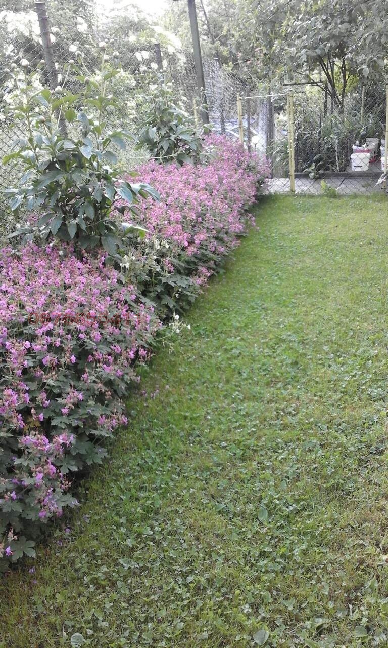 ������� ���� | Imot.bg � ����������� 9