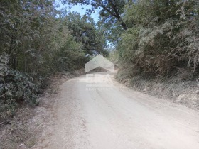 Οικόπεδο μ-τ Ρακητνηκα, Βαρνα 1