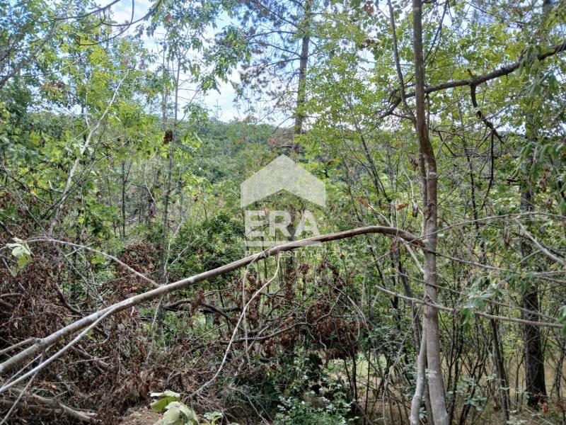 For Sale  Plot Varna , m-t Rakitnika , 1169 sq.m | 18843310 - image [3]