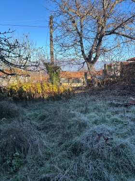 ������� ���� | Imot.bg � ����� ������ 8