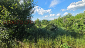 ������� ���������� ���� | Imot.bg � ����� ������ 5