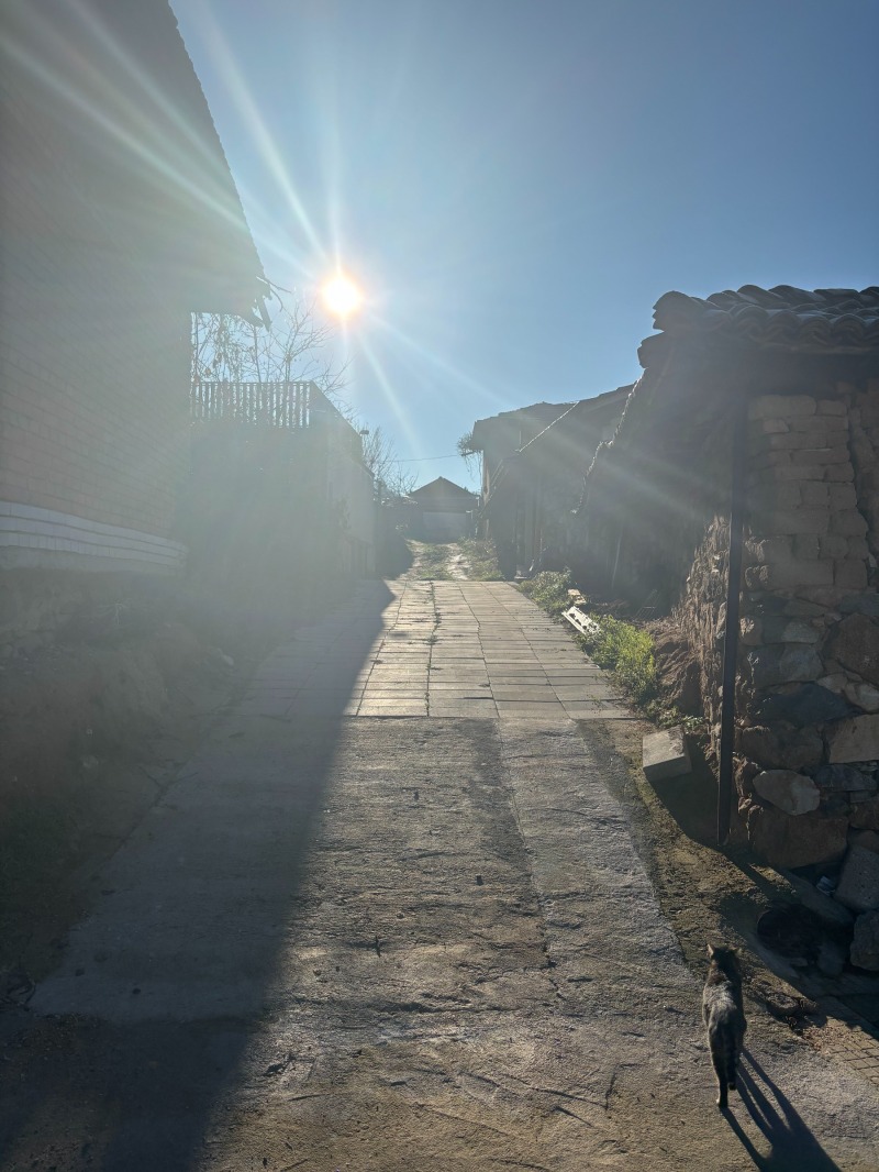 Продава КЪЩА, с. Пролом, област Пловдив, снимка 11 - Къщи - 52813996