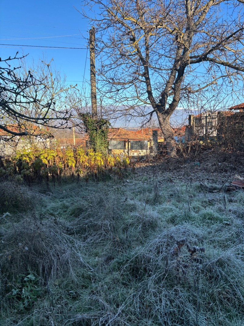 Продава КЪЩА, с. Пролом, област Пловдив, снимка 7 - Къщи - 52813996