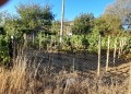 Продава ПАРЦЕЛ, град Варна, м-т Боровец - север • 74000 € • 43253697 — Holmes.bg