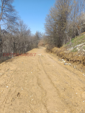 ������� ������ | Imot.bg � ����� ������ 5
