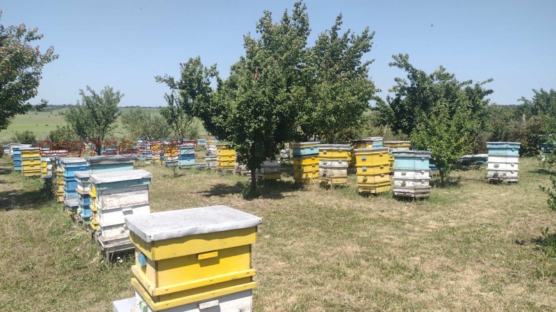 Продава ПАРЦЕЛ, с. Пленимир, област Добрич, снимка 4 - Парцели - 53402837