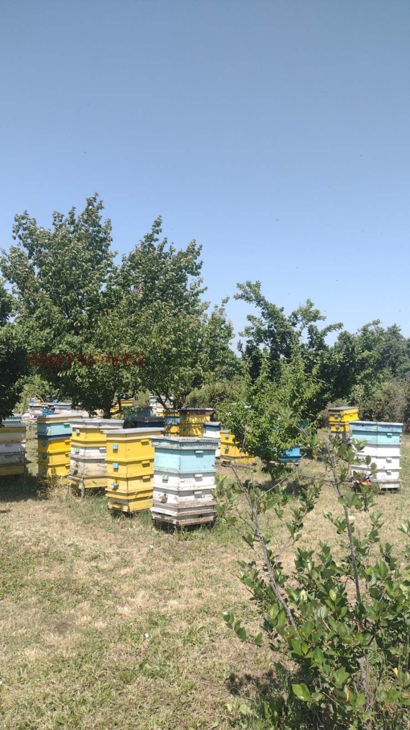 Продава ПАРЦЕЛ, с. Пленимир, област Добрич, снимка 2 - Парцели - 53402837