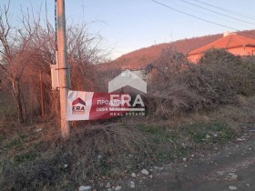 Grund Suvorovo, region Varna 8