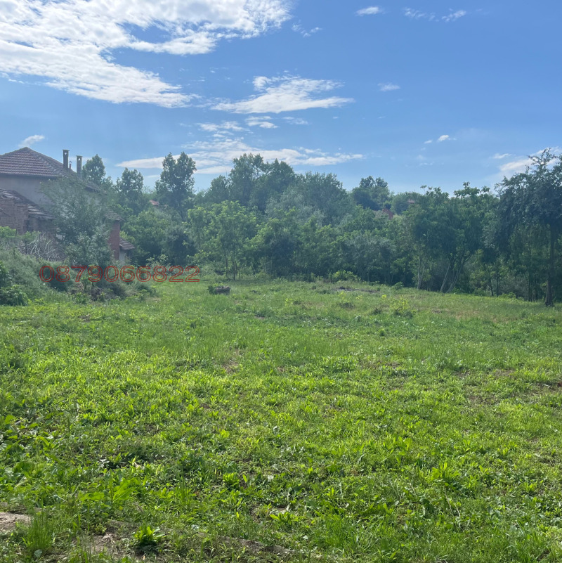 Продава КЪЩА, с. Писарово, област Плевен, снимка 3 - Къщи - 52779216