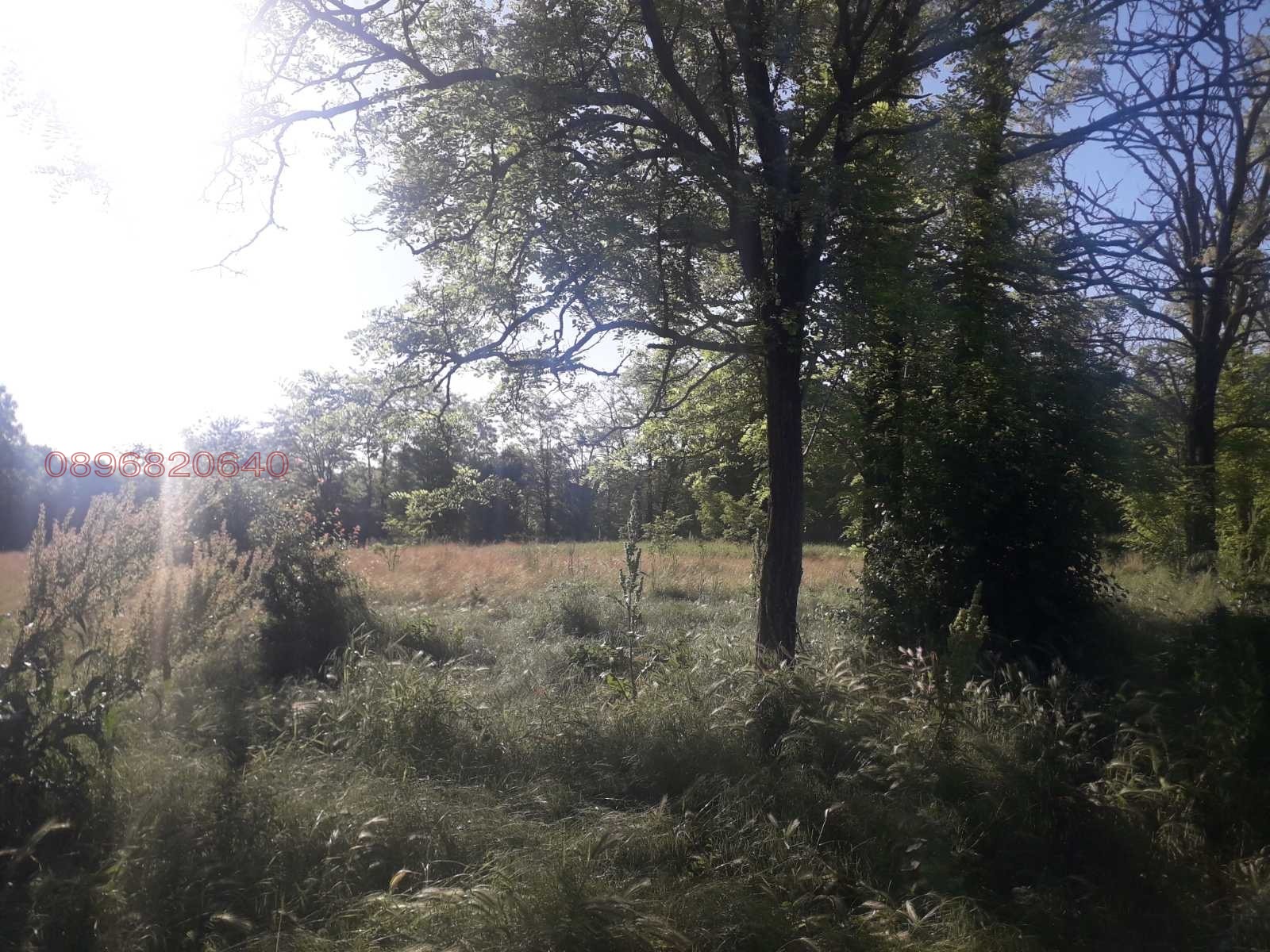Продава ПАРЦЕЛ, с. Млада гвардия, област Варна, снимка 2 - Парцели - 56313197