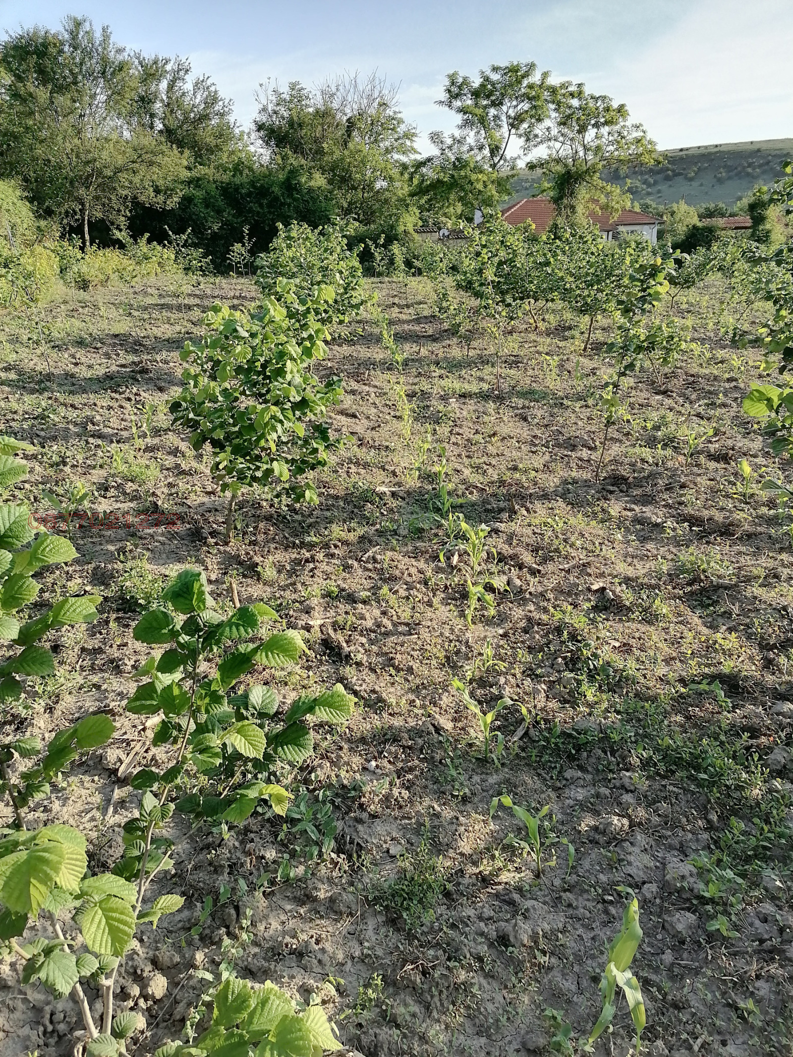 ������� ���� | Imot.bg � ����������� 6